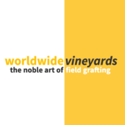(c) Worldwide-vineyards.com